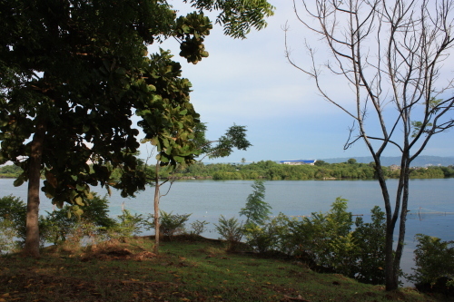 a0023466_21200136.jpg