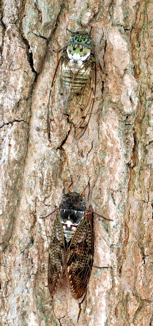 e0234972_14571925.jpg