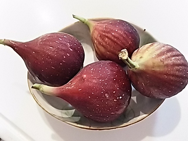 f0303594_23430520.jpg