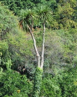 e0077899_21354296.jpg