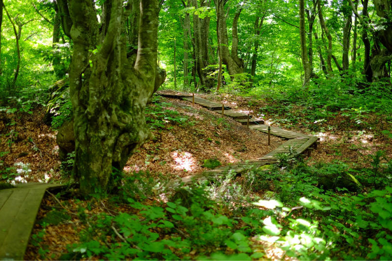 d0373607_01380009.jpg