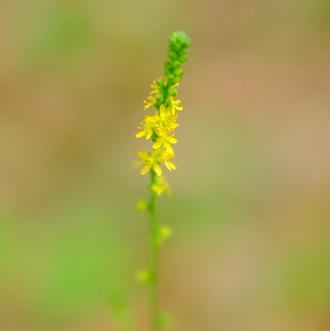 d0373607_01380269.jpg