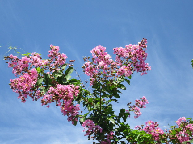 f0231709_10551047.jpg