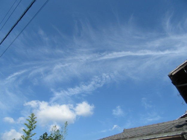 f0231709_11101949.jpg