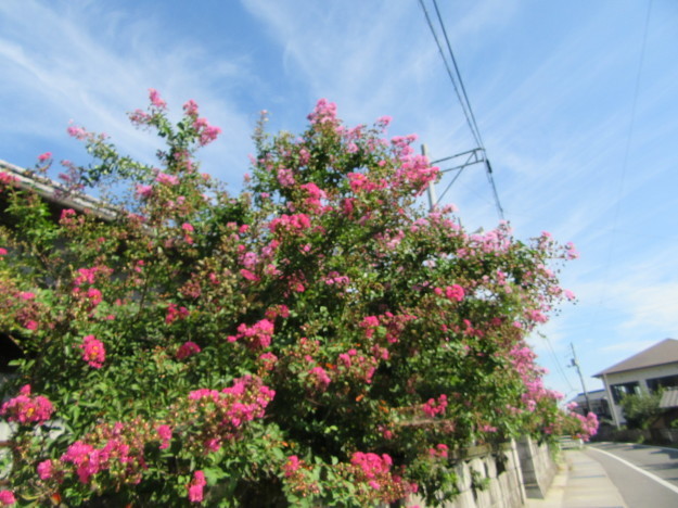 f0231709_11110861.jpg