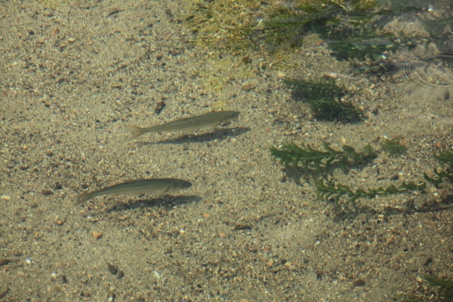 e0242721_07211909.jpg