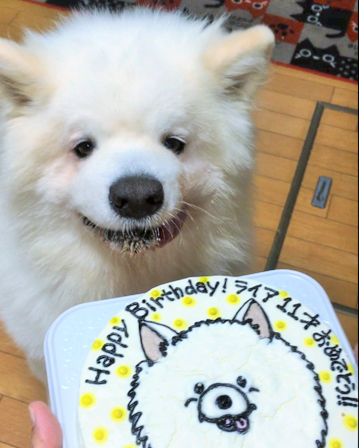 b0177436_11534167.png