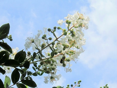 b0177436_12025786.jpg