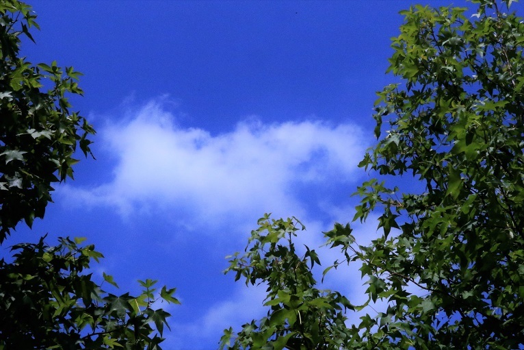 a0143839_22152085.jpg