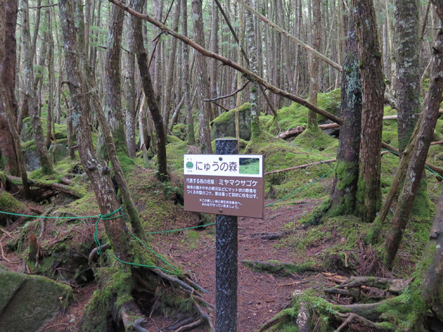 c0116856_16210614.jpg
