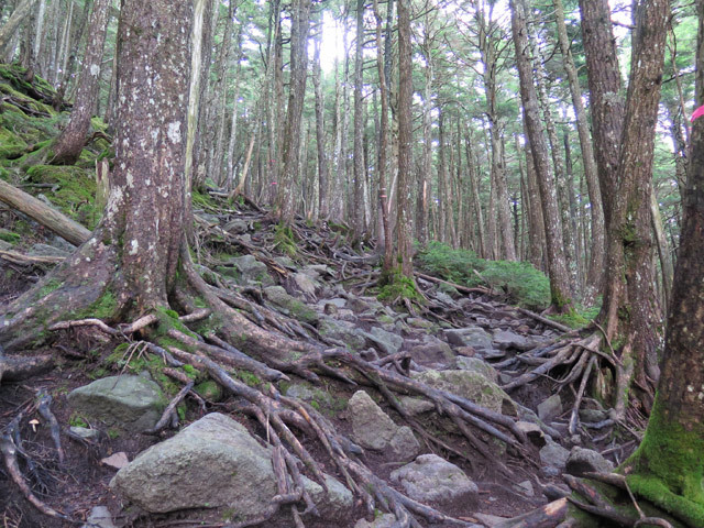 c0116856_16214164.jpg