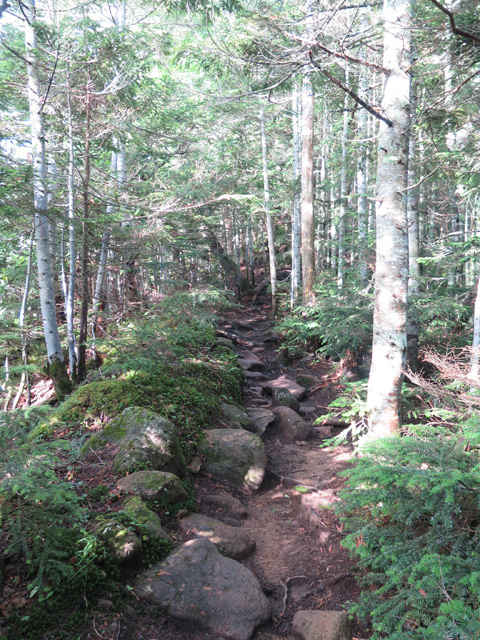 c0116856_16243134.jpg