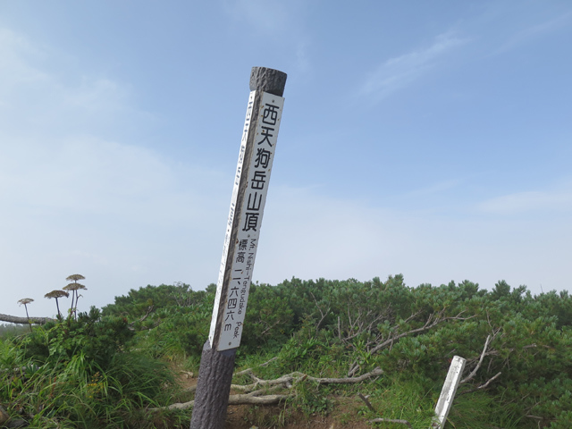 c0116856_16270459.jpg
