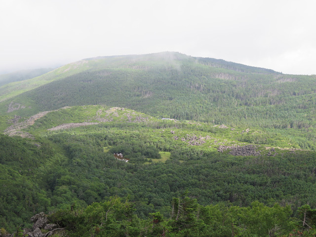 c0116856_16273954.jpg
