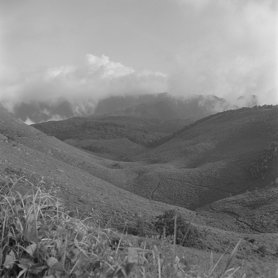 e0264158_21093931.jpg