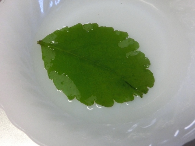 c0328559_20120950.jpg