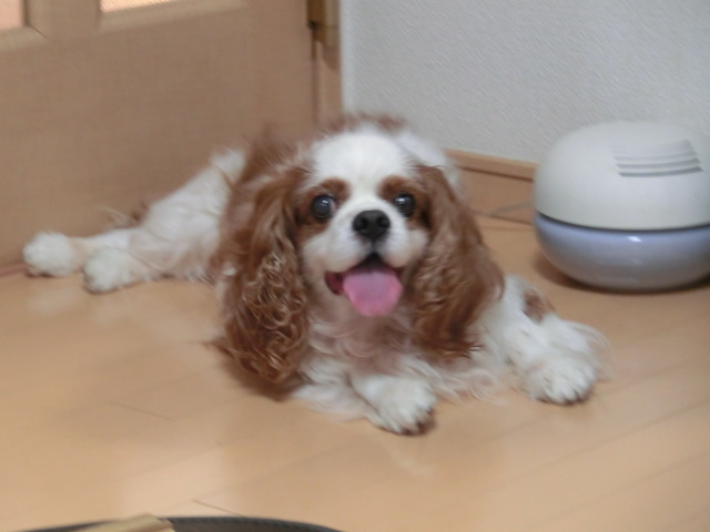d0362859_08552632.jpg