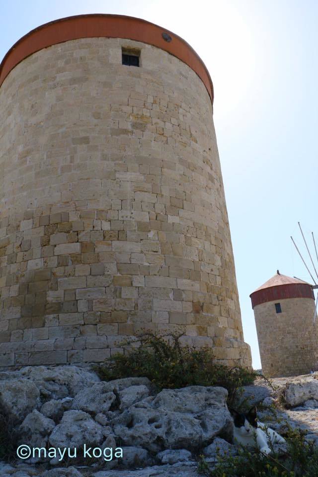 e0255060_01253066.jpg
