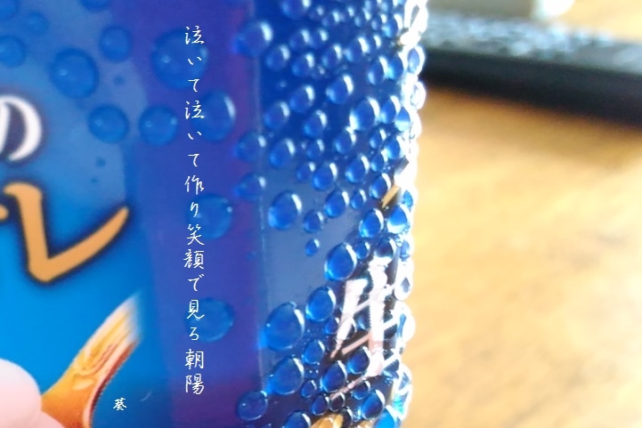 f0379160_13305762.jpg