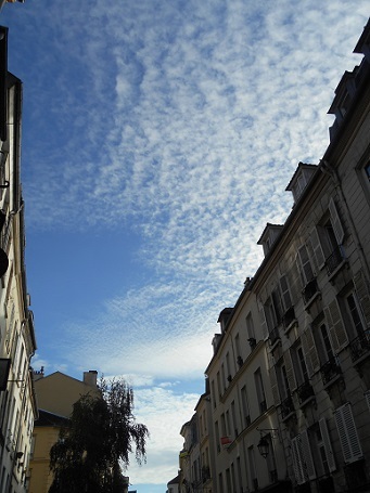 c0221565_10325853.jpg