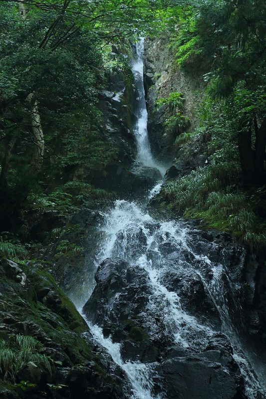 e0091879_17281552.jpg