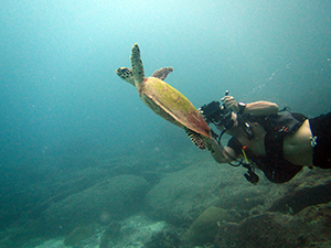 f0144385_11451202.jpg