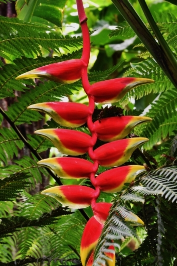 b0329186_06565110.jpg