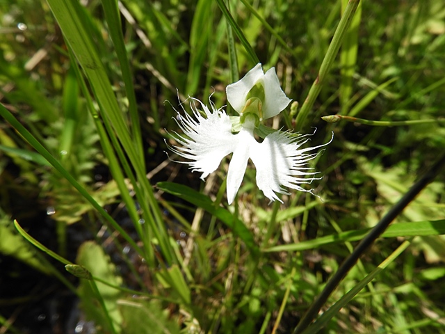 f0357487_14215379.jpg