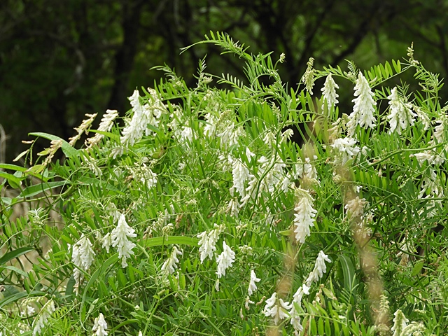 f0357487_14332018.jpg