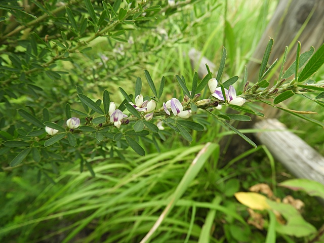 f0357487_14392591.jpg