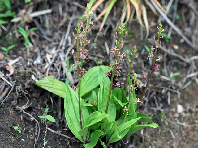 f0357487_154657.jpg