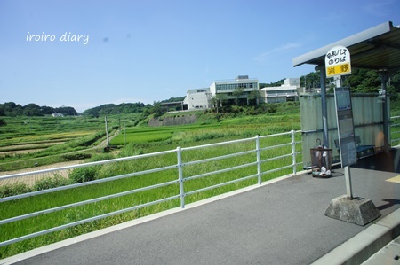 e0206490_16404811.jpg