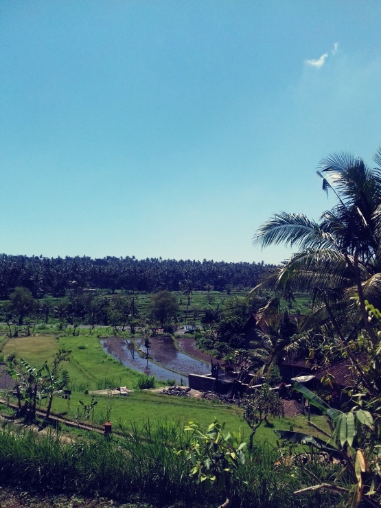 b0161391_21450570.jpg