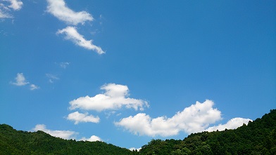 d0040901_2230121.jpg