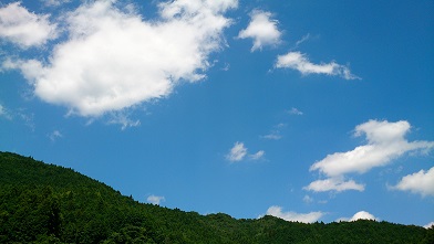d0040901_22304787.jpg