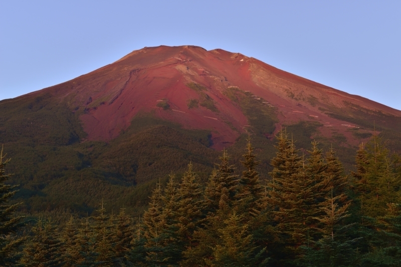 b0369916_16134741.jpg