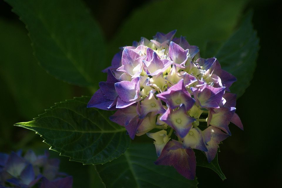 c0162516_13020719.jpg