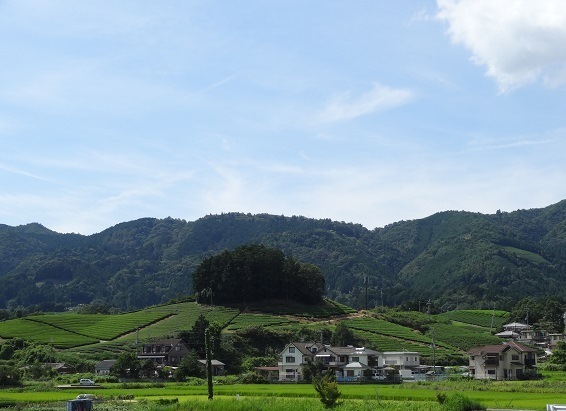 f0000521_06231899.jpg