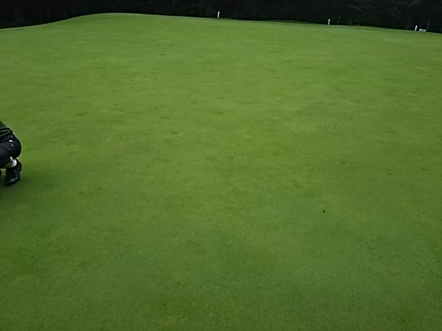 f0227321_19350601.jpg