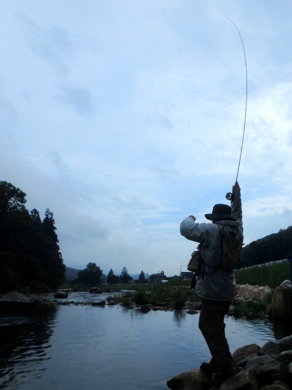 d0091323_15222861.jpg