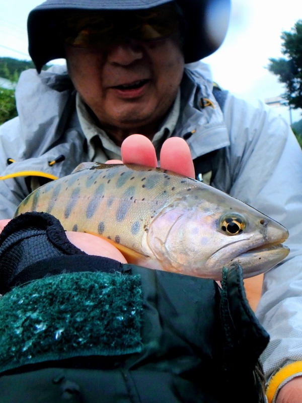d0091323_15225620.jpg