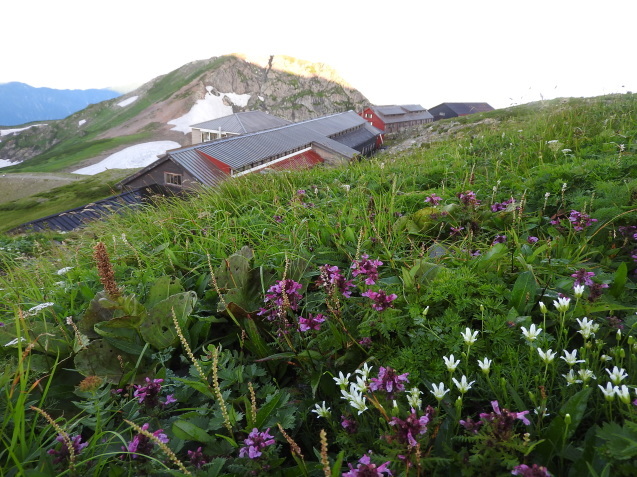 f0118332_00191744.jpg