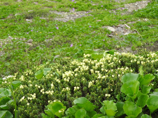 f0118332_00381359.jpg