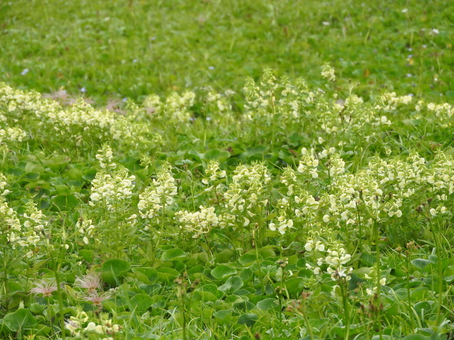 f0118332_00385633.jpg