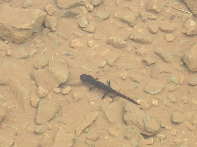 f0118332_00393651.jpg