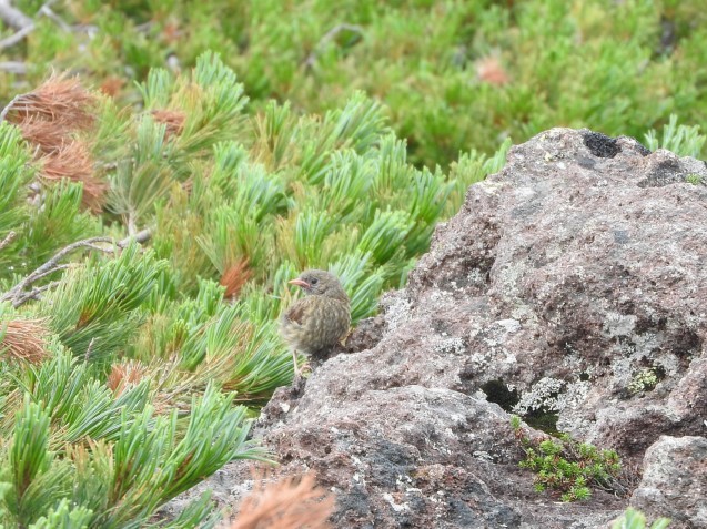 f0118332_00404421.jpg