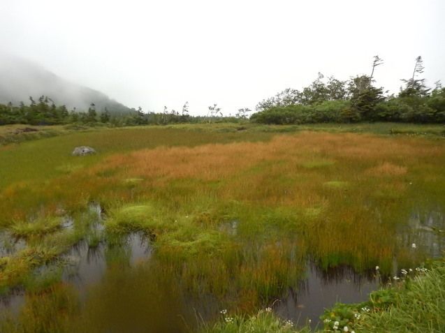 f0118332_00432615.jpg