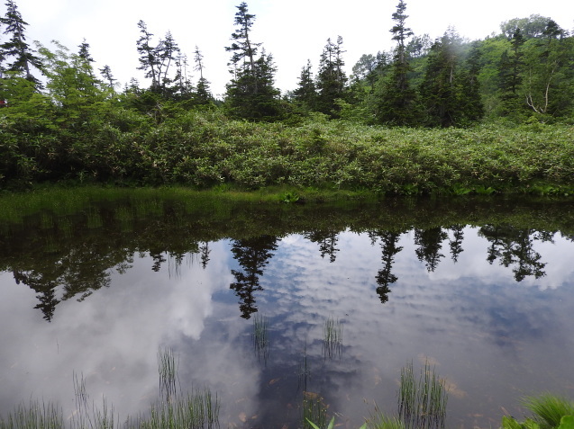 f0118332_13023646.jpg