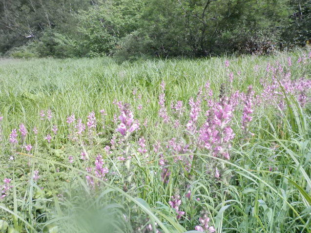 f0118332_13032917.jpg