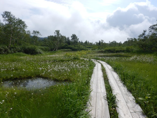 f0118332_13043223.jpg